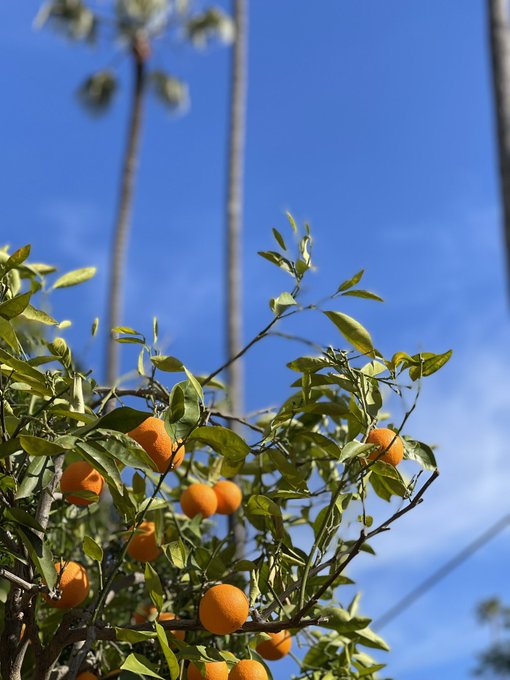 &hellip;, I know that&rsquo;s not pictures what u are expecting from me. UT I liked it so much, so I needed to share<a href="/tag/spring"class="tags"><span>#spring</span></a>