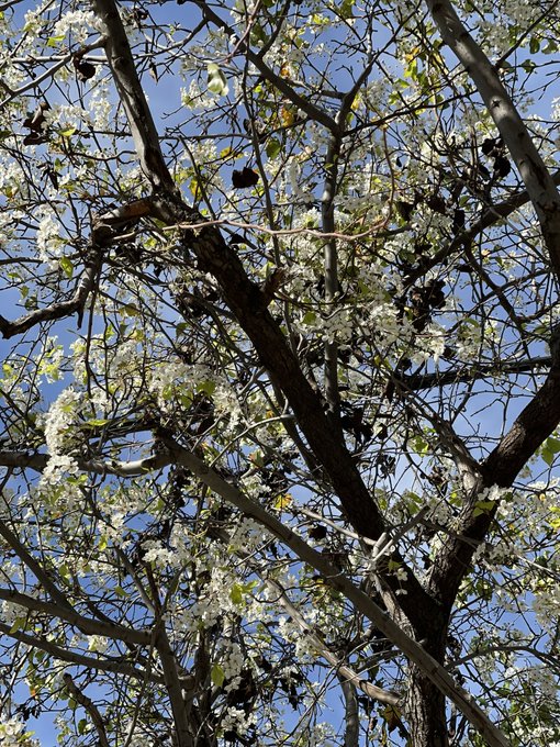 &hellip;, I know that&rsquo;s not pictures what u are expecting from me. UT I liked it so much, so I needed to share<a href="/tag/spring"class="tags"><span>#spring</span></a>