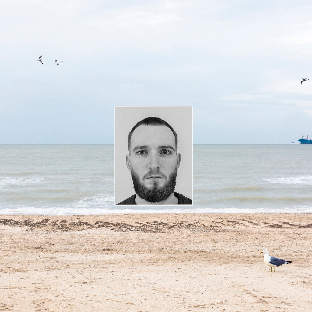 Nouveau son dispo
Mes Ex, Pt. 4 (Les mouettes)
spiderzed.ffm.to/mesexpt4