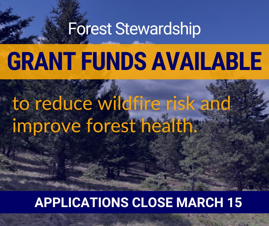 Applications for Forest Stewardship Grants are open now through March 15. Non-profit organizations; local, state, and Tribal governments; and non-governmental conservation organizations are eligible to apply online at grants.dnrc.mt.gov/submit