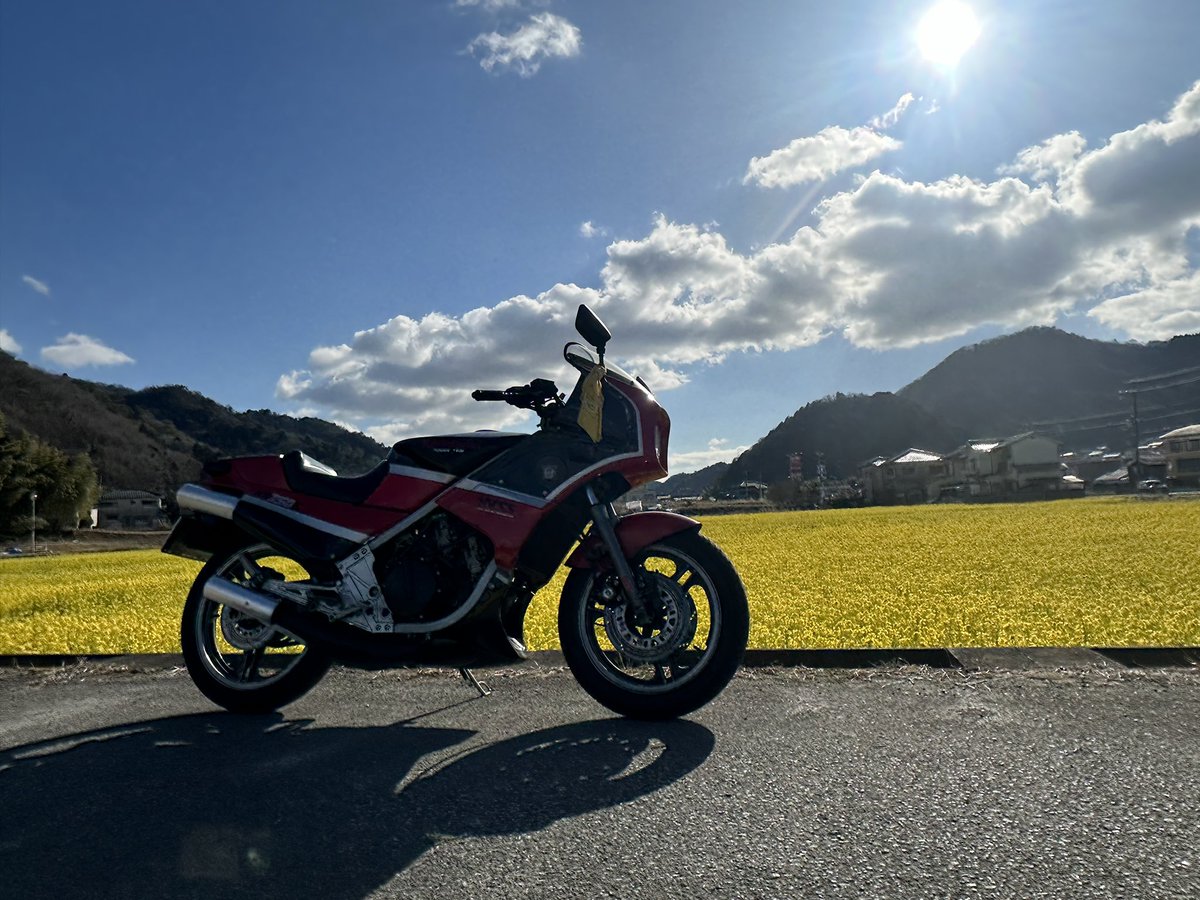久しぶりのバイクで散歩
#KR250S