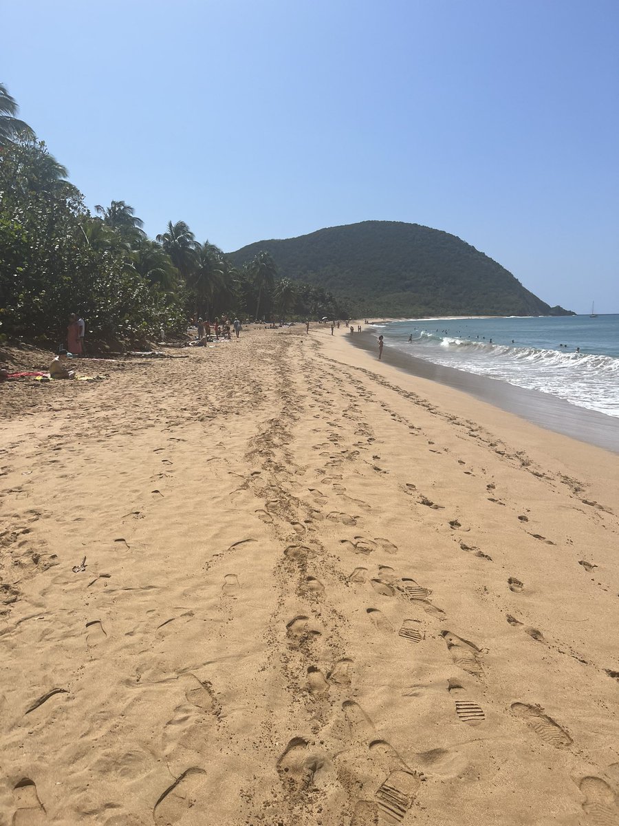 sunnyfury2's tweet photo. Guadeloupe 🫶🏽 https://t.co/NzLSU4S0jy