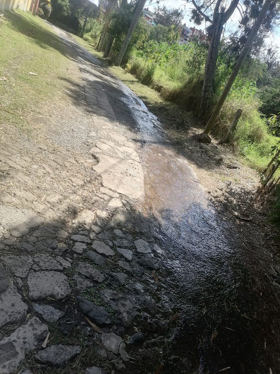 PsicToto's tweet photo. @CMAS_Xalapa fuga de agua en fraccionamiento Santa fe las trancas. Inmensa!!! Ojalá puedan llegar... https://t.co/rrRMCTgHik