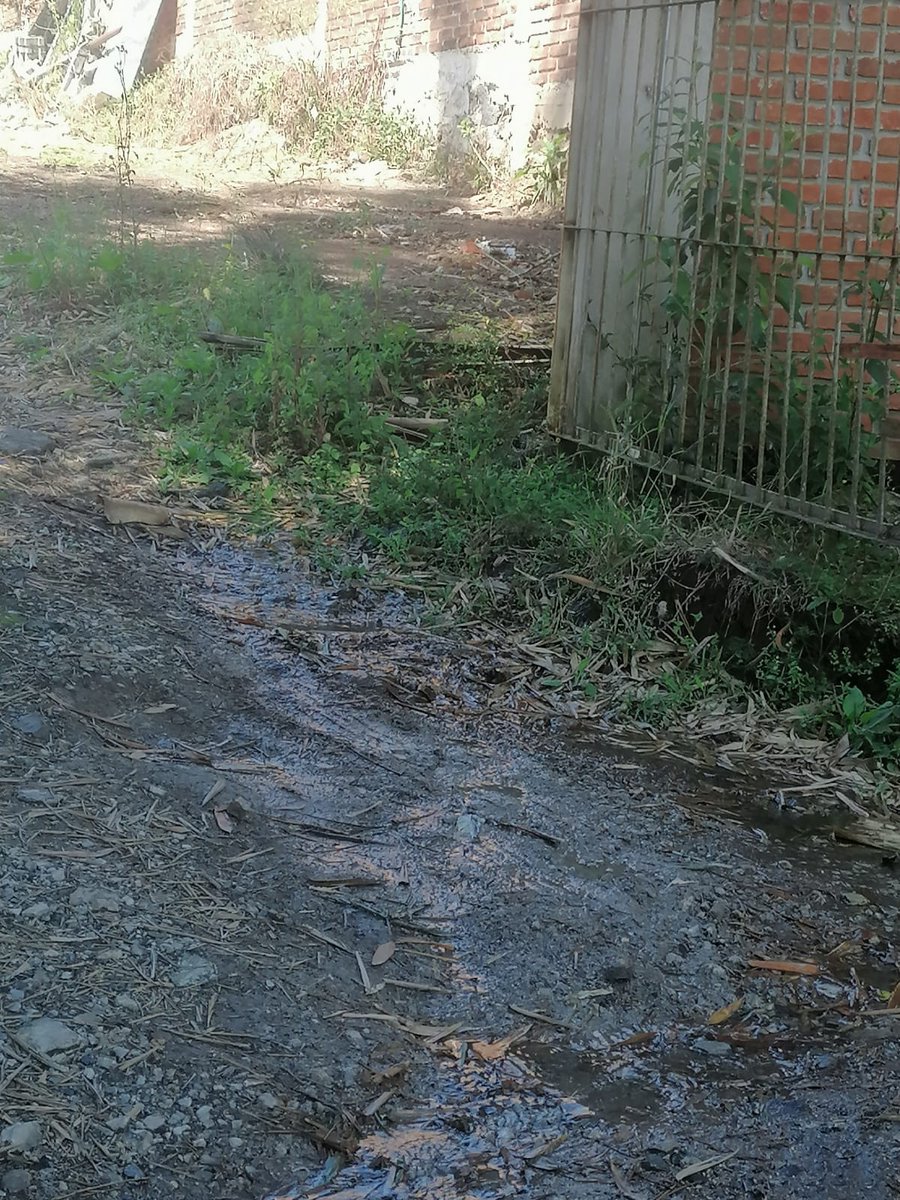 PsicToto's tweet photo. @CMAS_Xalapa fuga de agua en fraccionamiento Santa fe las trancas. Inmensa!!! Ojalá puedan llegar... https://t.co/rrRMCTgHik