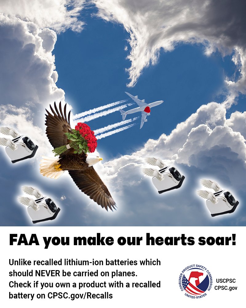 Dear @FAANews, happy Valentine's Day plane people #GovLove