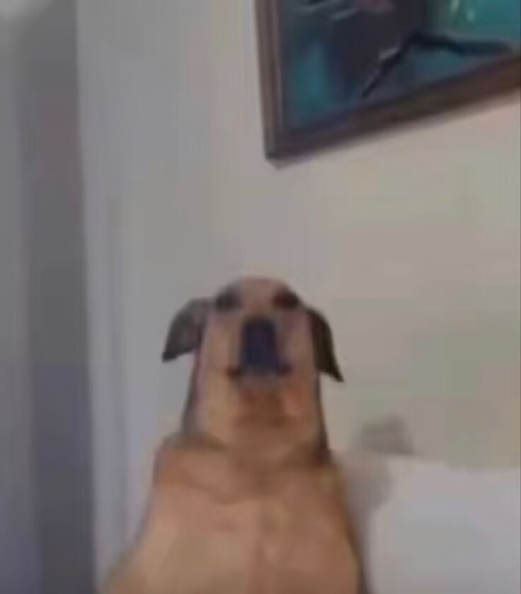 KuDoom444's tweet image. 通宵之后，想要立刻去世的信念会增加