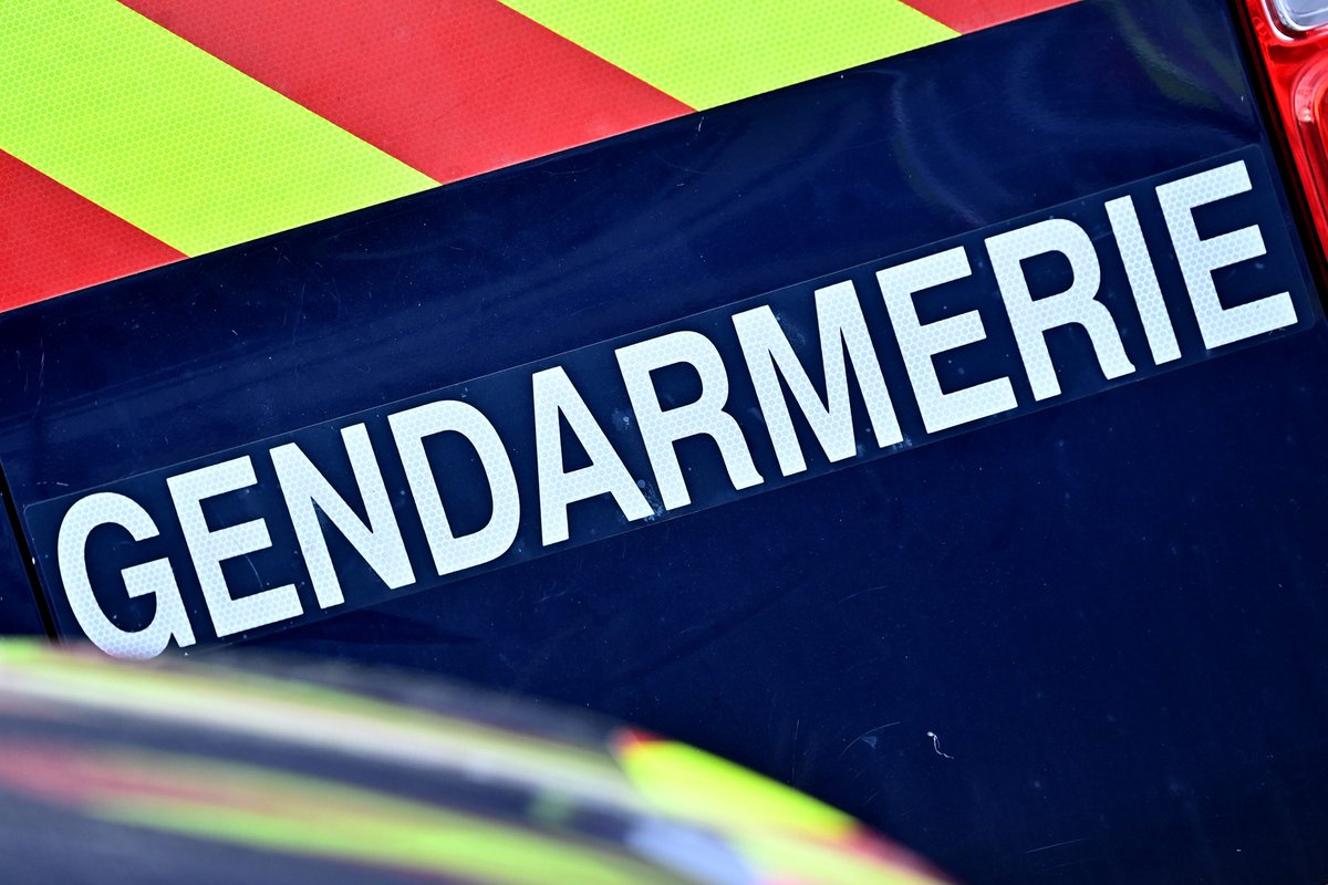 Disparition d'une adolescente dans la Meuse, les gendarmes lancent un appel à témoins france3-regions.francetvinfo.fr/grand-est/meus…