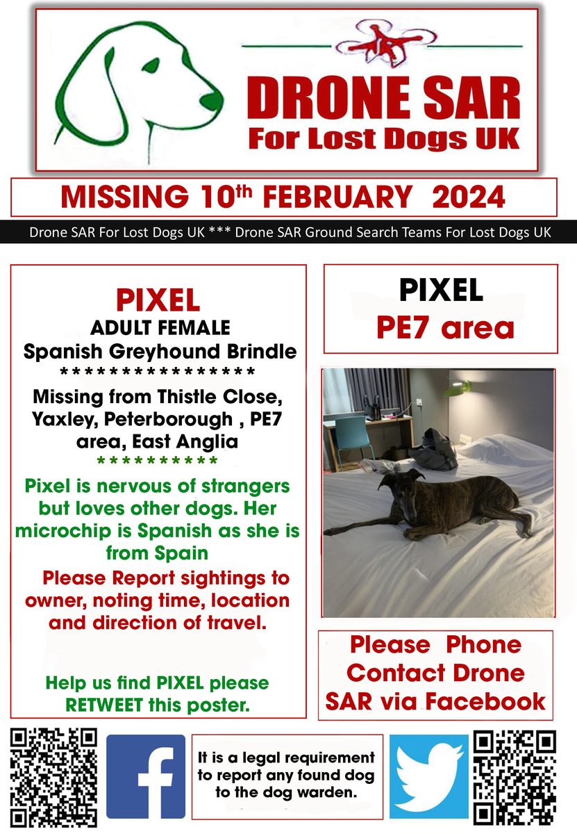 sar_dogs's tweet photo. #LostDog #Alert PIXEL
Female Spanish Greyhound Brindle (Age: Adult)
Missing from Thistle Close, Yaxley, Peterborough , PE7 area, East Anglia on Saturday, 10th February 2024 #DroneSAR #MissingDog https://t.co/x9EiDSehlh