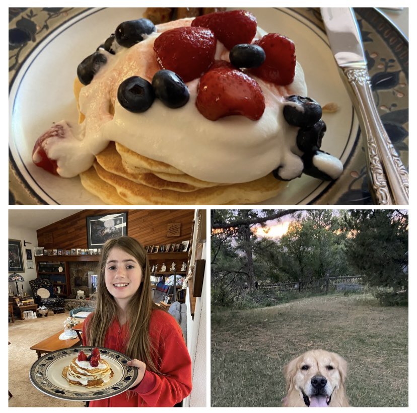 Happy Pancake Day 🔔 🥞; Happy la Chandeleur 🕯️☀️; Blessed Shrove Tuesday 🙏 ; Happy and safe Mardi Gras🎡 🎭; Happy and lovely #tongueouttuesday . It is a day of gratitude and celebrations🥚🥛🥖. My family celebrates you; we never forget✨. Love, Scout, the Golden Retriever