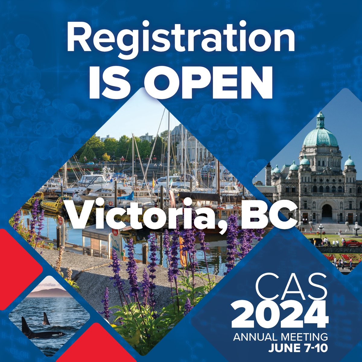 CAS Annual Meeting registration is open! Join us in Victoria this summer, June 7-10 for #CASAM2024. Don't miss out on our exceptional event featuring a captivating scientific program, networking opportunities. Full details / Program - cas.ca/AM-register