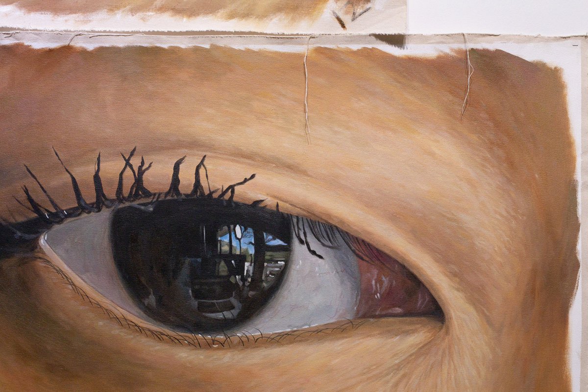 designdain's tweet photo. It's my pleasure to reveal this 16 piece work of large-scale oil paintings that I worked on for over 2 years during COVID. I painted through my long move from LA to NY. This patient process served as a meditation for my insecure feelings, and was perfect for using oil paint. 👁️👁️ https://t.co/RjUR0Vwjwq
