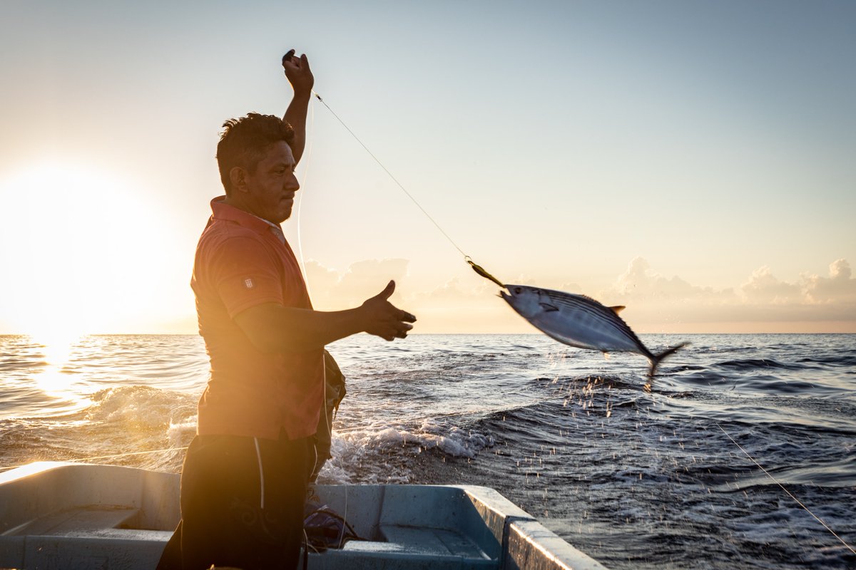 Our website highlights the myriad environmental, social and financial services we offer globally, including testimonials from those we’ve worked with. 

Working in fisheries improvement or sustainable seafood? We can help you deliver on your goals 👉 bit.ly/49wev5V