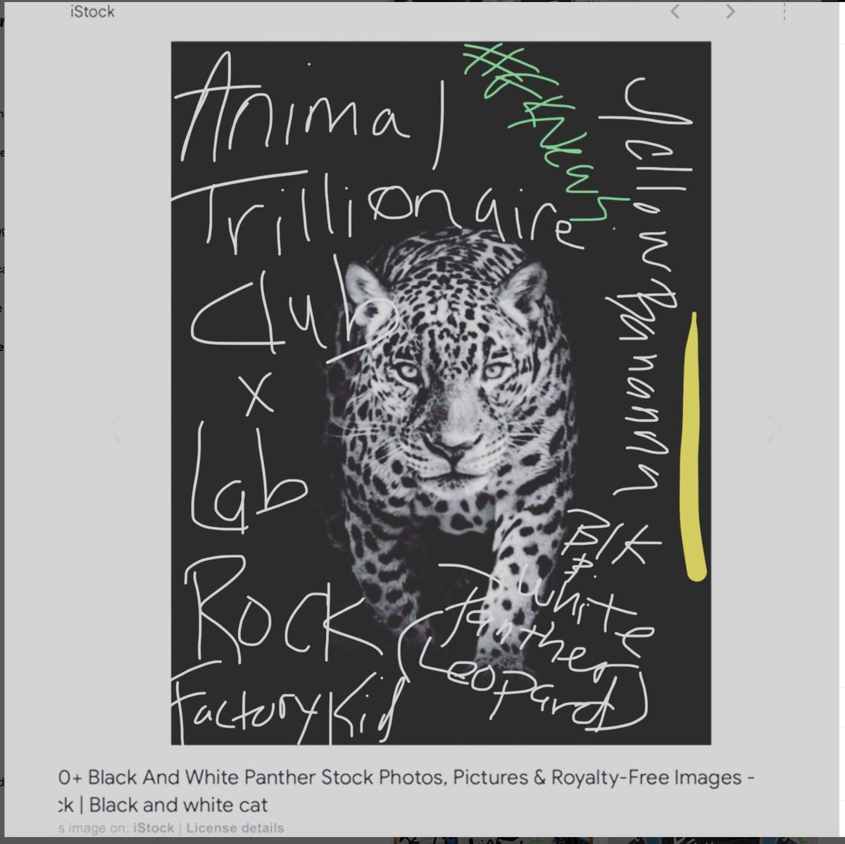 FRGClothing's tweet photo. Animal trillionaore club x yellow bananna
animal trillionaire club x lab rock 🪨 black and white Panther (leopard) ◽️◾️◽️◾️◻️◼️◻️◼️ @Trillionairec via Factory Kid News via @MikeSteedGang https://t.co/V9vb5Uj34G