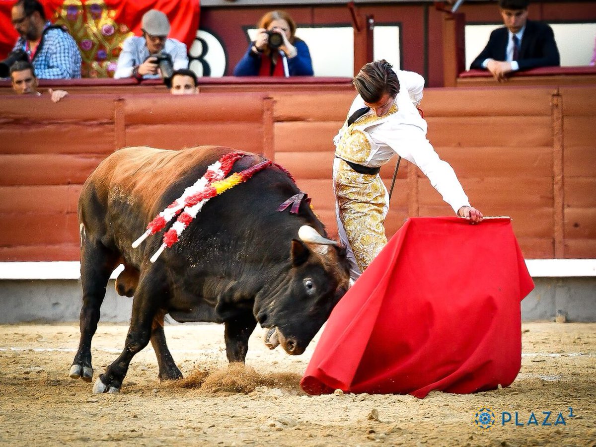 escandalamx's tweet photo. El torero #MarioAlcalde, sale del closet y se declara pansexual.

"Soy pansexual. Me siento muy identificado con la bandera LGTBI 🏳️‍🌈. 
Me enamoro del interior, no me importa el género”, ha declarado a la prensa. https://t.co/IenPIVgLvz