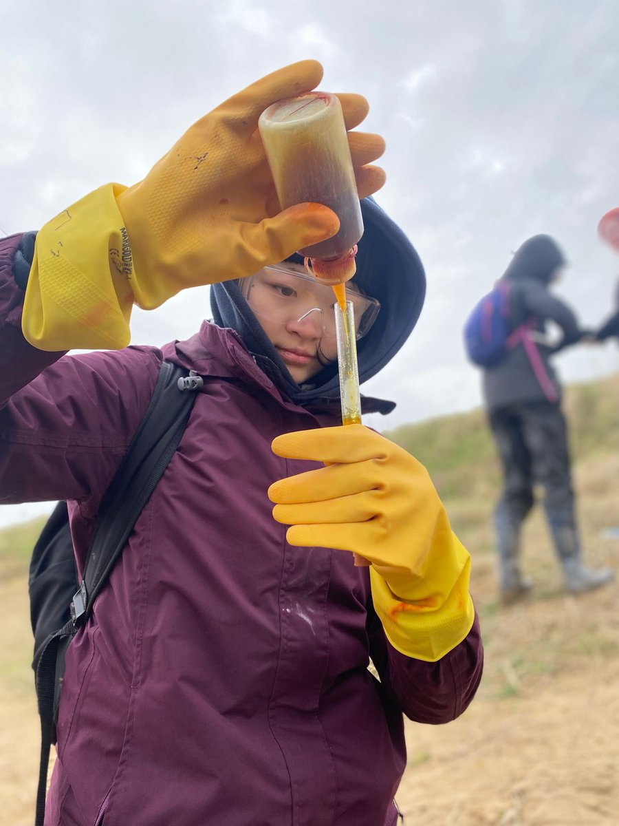 DHSfG_Science's tweet photo. More work completed by our Sixth Form Biologists investigating sand dune succession on the Yorkshire coast with @CranedaleCentre https://t.co/DynLSE833j