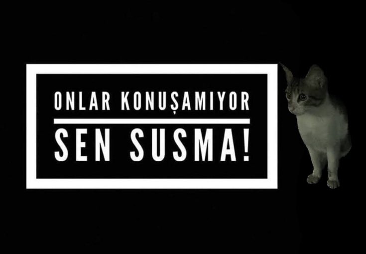 Mahkeme kararları "Türk Milleti Adına" diye başlar. Türk milleti bu CANİ ile aynı toplumda yaşamak istemiyor. Hayvanlara zarar verenlere yatar cezalar istiyoruz.

<a href="/adalet_bakanlik/">T.C. Adalet Bakanlığı</a> <a href="/yilmaztunc/">Yılmaz TUNÇ</a> 

#ibrahimkeloglantutuklansın
