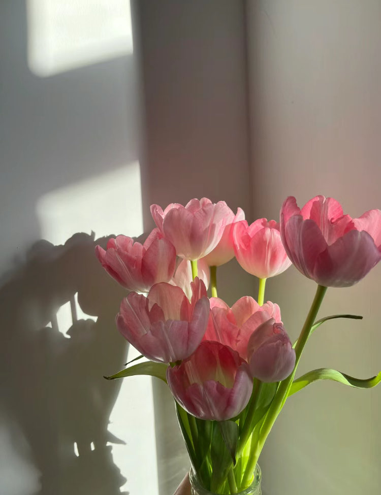 ‏ْ (@piinkifairy) on Twitter photo 