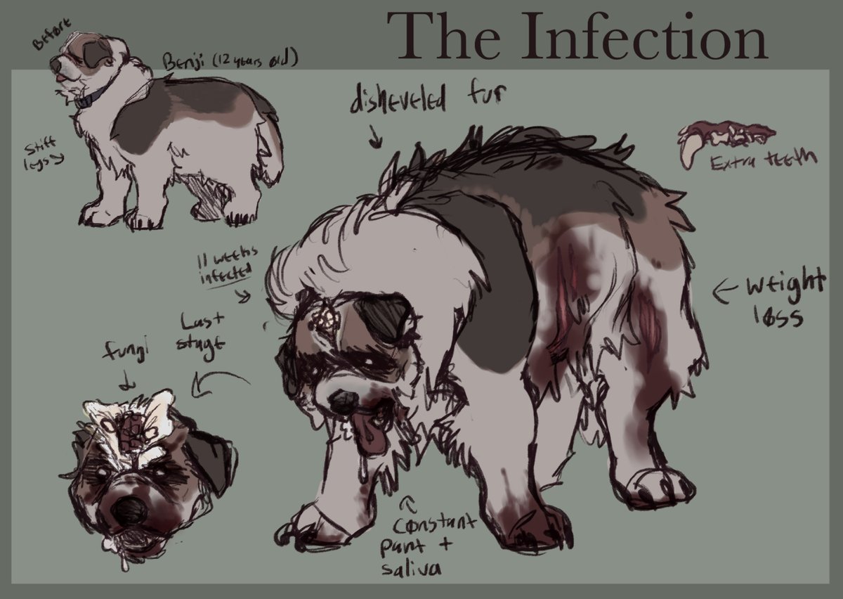 fauxpawprint's tweet photo. CW for mild gore /

“Gods, Benji, what have they done to you…”

The Infection Symptoms:
>  fever
>  increased  panting/trying  to cool off
>  increased salivation
>  weight  loss
> skull splitting 
>  aggressive/feral behavior
> odd gait

This affects all mammals.
#siriuspack https://t.co/17Roow25i7