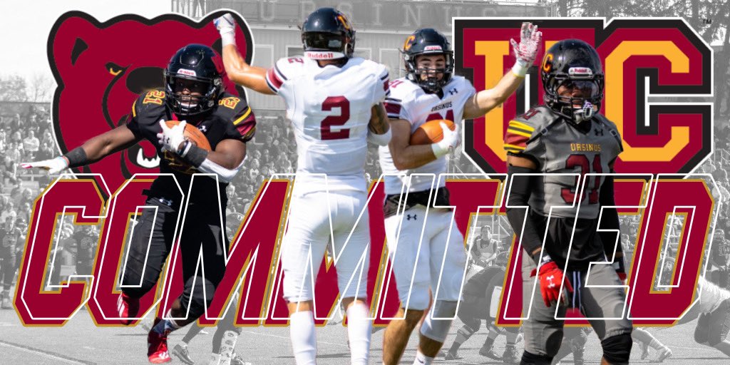 Logan Jeffery tweet media