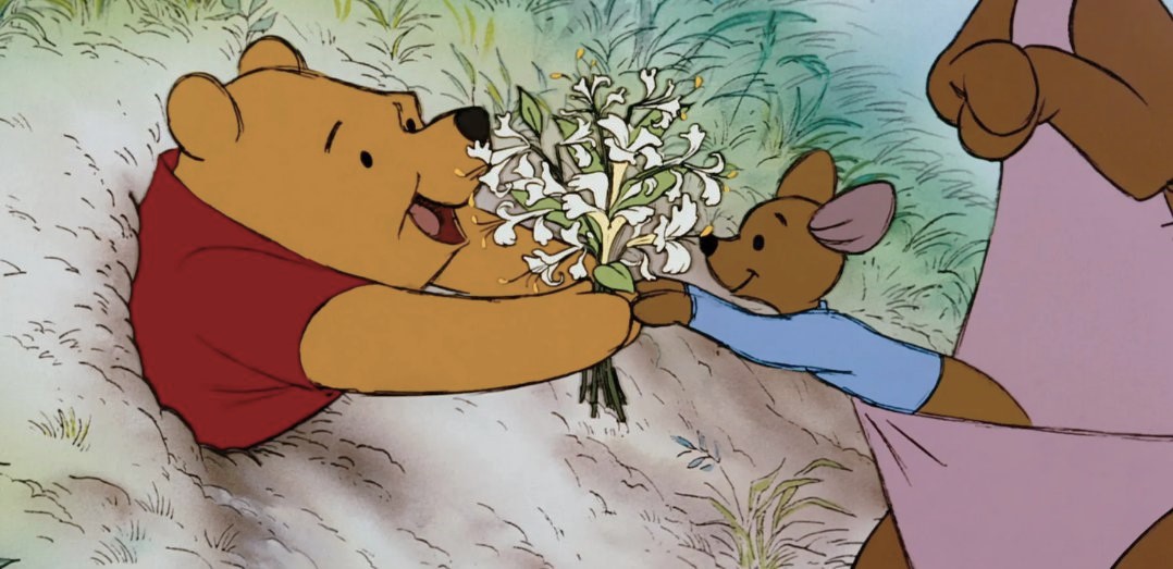 dreamyyarchive's tweet image. happy valentines day 🧸💐