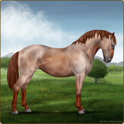 HorseEdenGame's tweet photo. Today's featured Game Horse!
#horse #horses #horseeden #horsegame #animals #simgame #knabstrupper #reddun #varnishappy #art #game https://t.co/IPxZzMfYt0