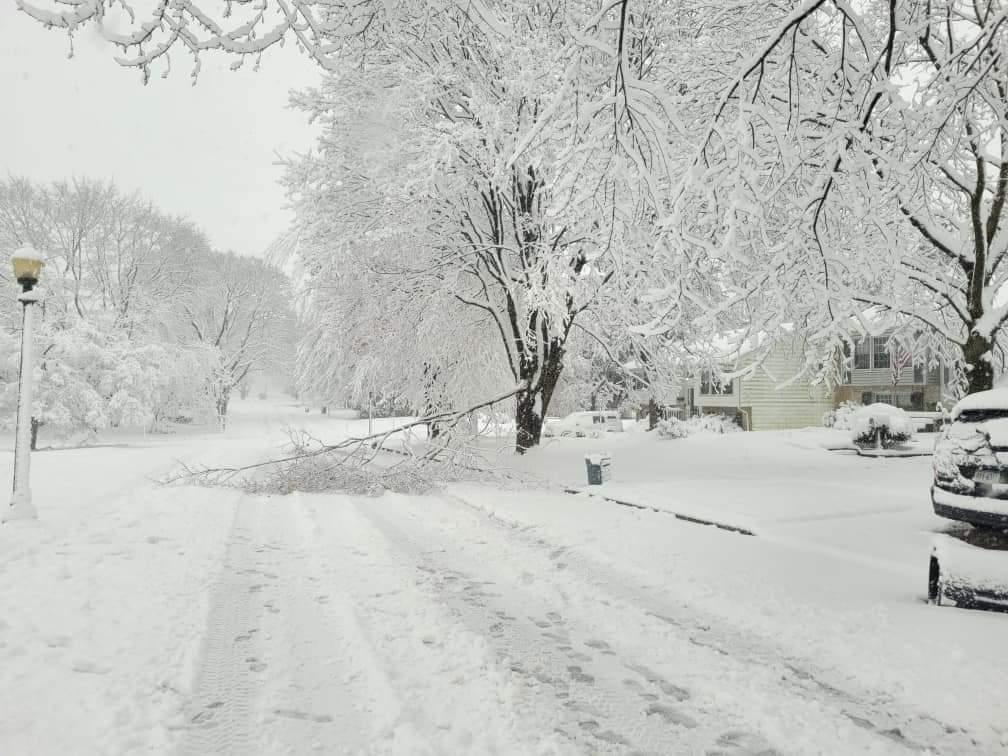 Feb 2024 snow