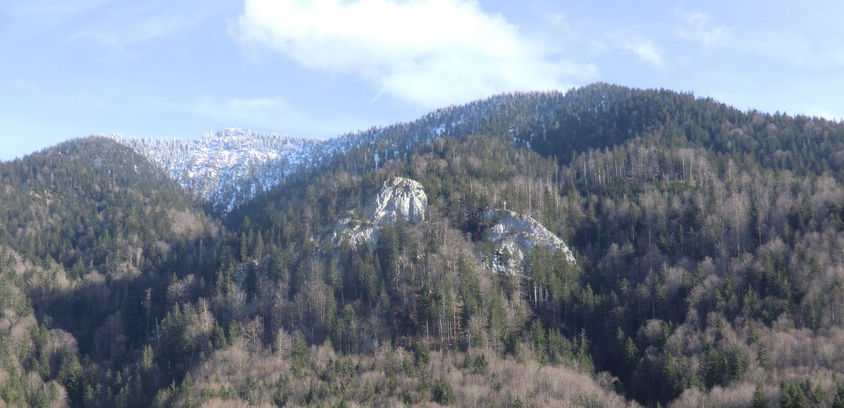 In den Vorbergen unterwegs, Stutzenstein 892m und Zwieselschrofen 1027m von Kochel, den Beira Faschingszug konnte man hören  3h40 7km  530hm