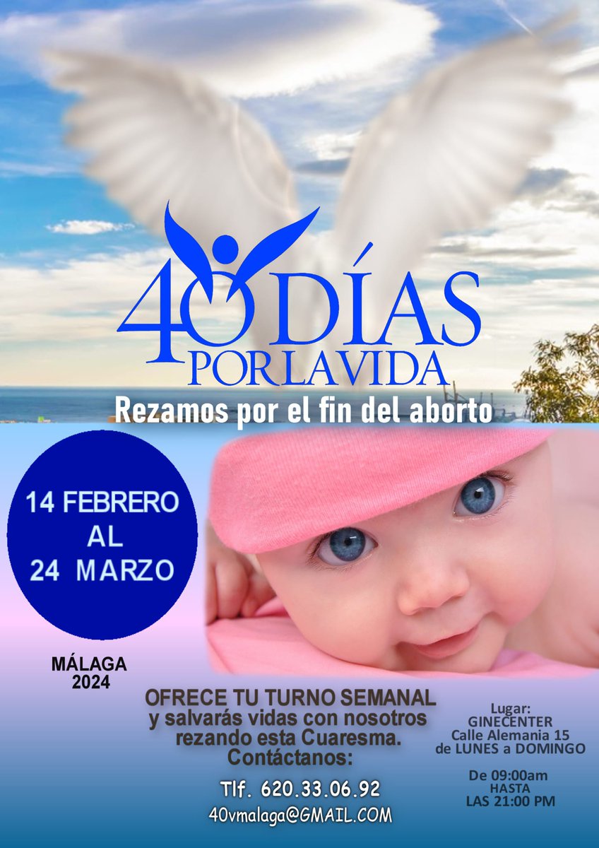 nandagredano's tweet photo. @PadrePich @40dpvMLG @CorazonMariaMLG Que apoye nuestra campaña este Páter tan joven al que admiro tanto es de agradecer. ☺️☺️💙💙

En Málaga también se reza por el fin del aborto. 

#oraunahora
#40dplv #Cuaresma2024 https://t.co/SzOyrMyYCf