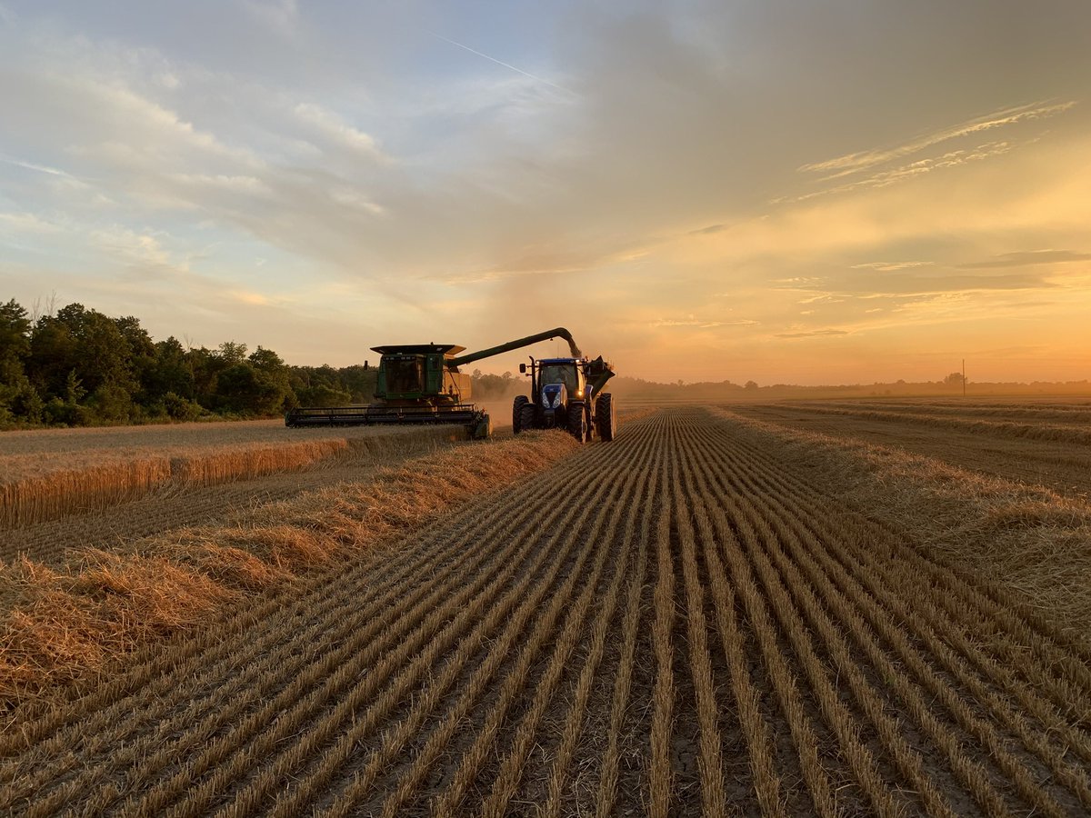 VanhieBobby's tweet photo. #CdnAgDay https://t.co/QAr79Nhht8