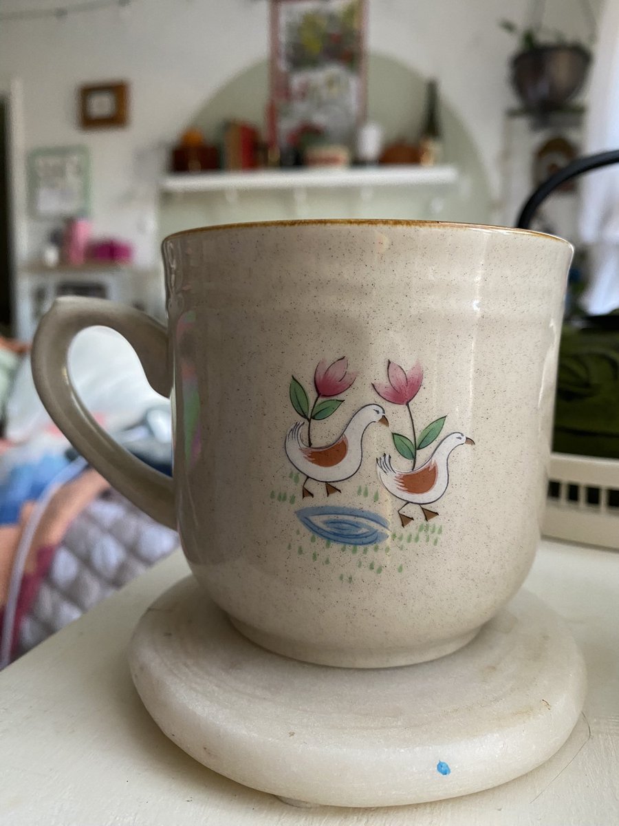 Ashlen Renner tweet media