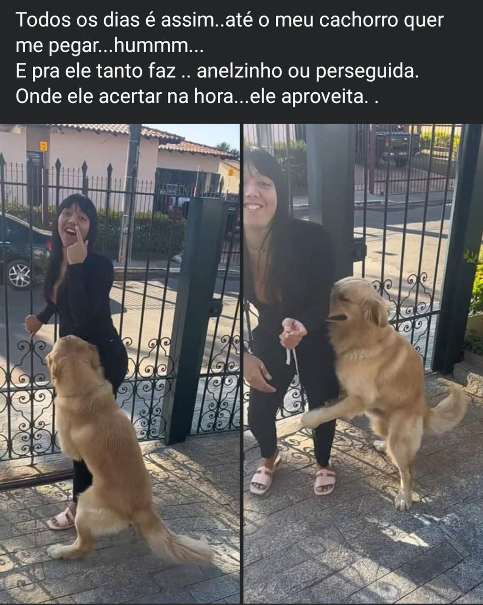 OitoUm_'s tweet photo. 🚨 🤢 Sim, é isso mesmo que você entendeu ... algumas delas preferem se aliviar com o dog ao invés de interagir com um Ajudante Geral.

Essa é a dogpill 🤮 🤢 https://t.co/JLxnJqLqwC