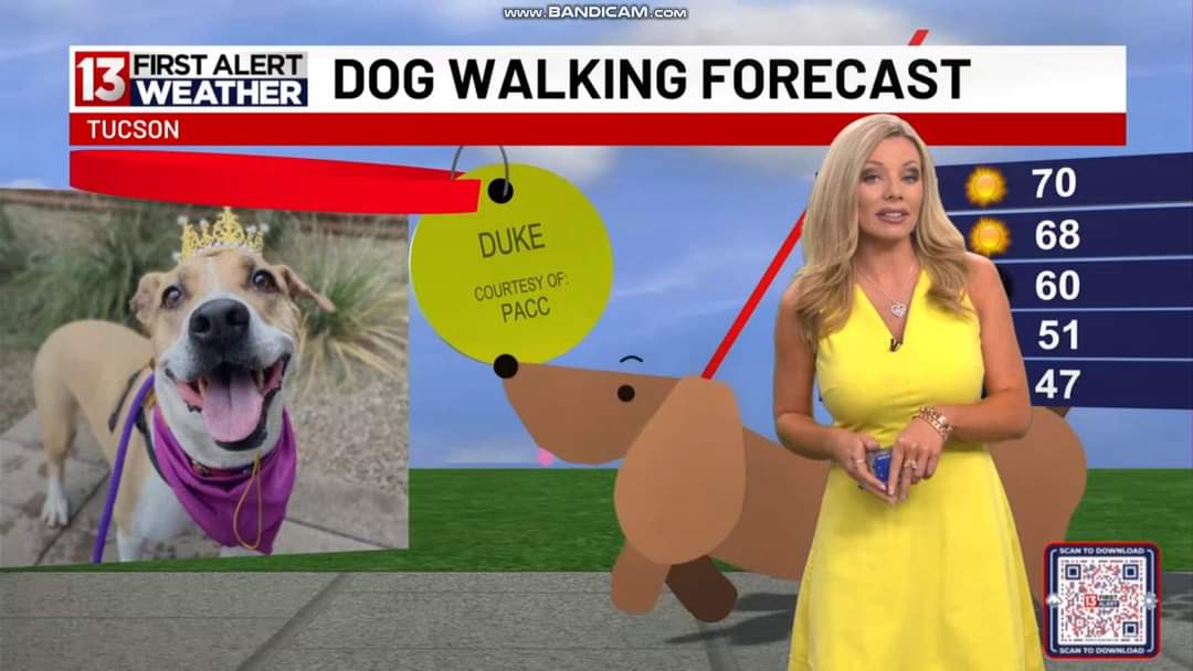 NewsWatcher102's tweet photo. Part 1: @alliepottertv so GORGEOUS/sexy/very beautiful in yellow on Tuesday! 😍🤩💘❤️💛 #AzWx #TucsonWx #KOLDNews #AlliePotter https://t.co/HTHCZ6NgD4