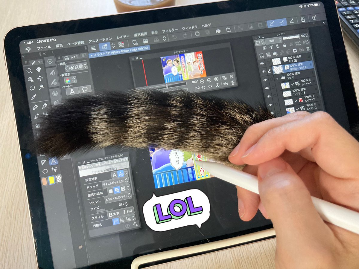 muchiko0203's tweet photo. おはようございます！！ https://t.co/TXkvLyLgdg