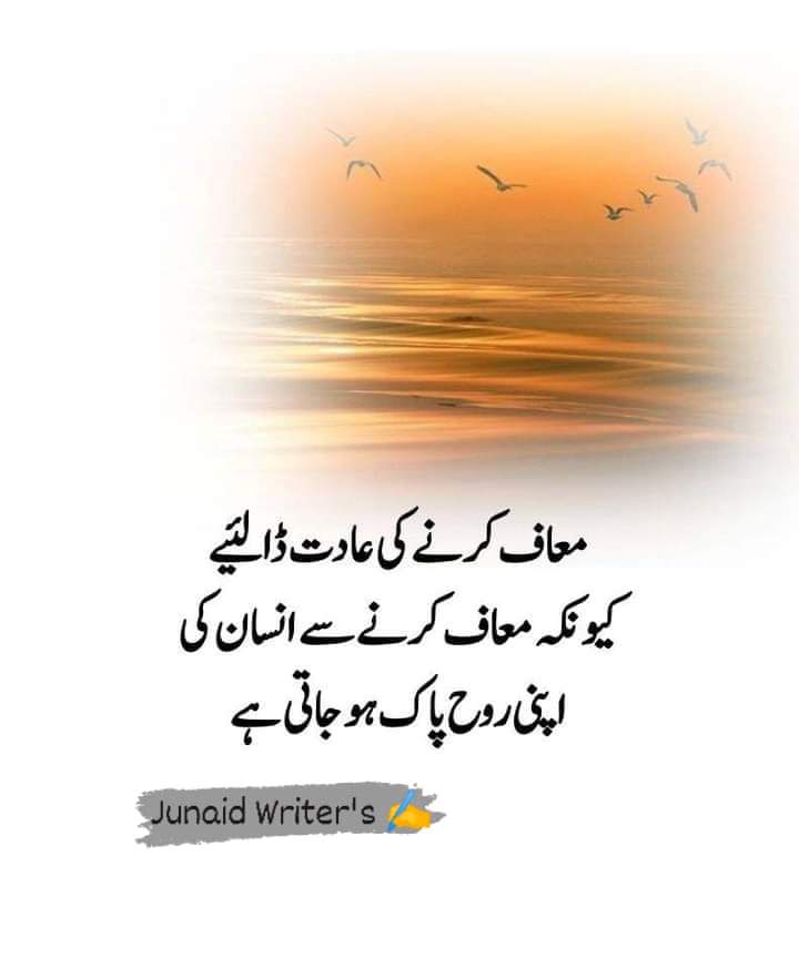 🌷بسم اللّٰہِ الرَّحمٰنِ الرَّحِیم 🌷

🍃السلام علیکم ورحمتہ اللہ وبرکاتہ 🍃

صباح —💜— النور 🌄🌷🦋