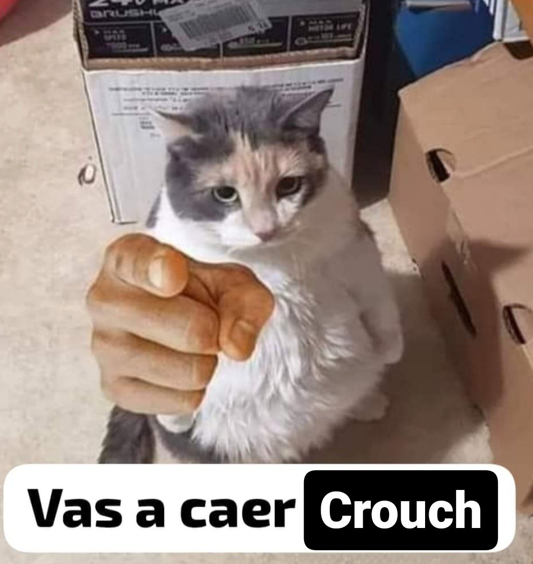 ㅤ
ㅤ
daily reminder, <a href="/AZKPRlSONER/">ᅟᅟ ͜͡𝐁𝐀𝐑𝐓𝐘.</a>. 
ㅤ
ㅤ