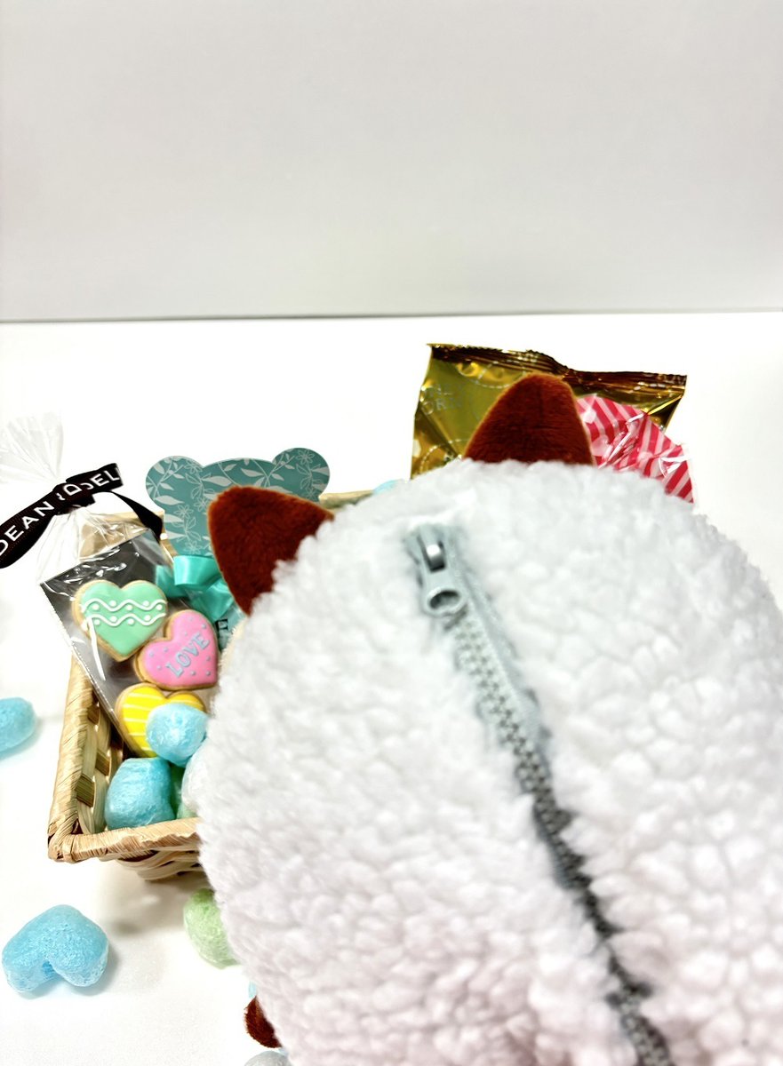 nagoyatv_6ch's tweet photo. 🍫#ハッピーバレンタイン🍫

#ウルフィ も
チョコもらえました☻❣

#あれ？
#まるフィチョコ食べた？
#バレンタイン2024 #チョコレート
#HappyValentine https://t.co/hx9k8PwMyE