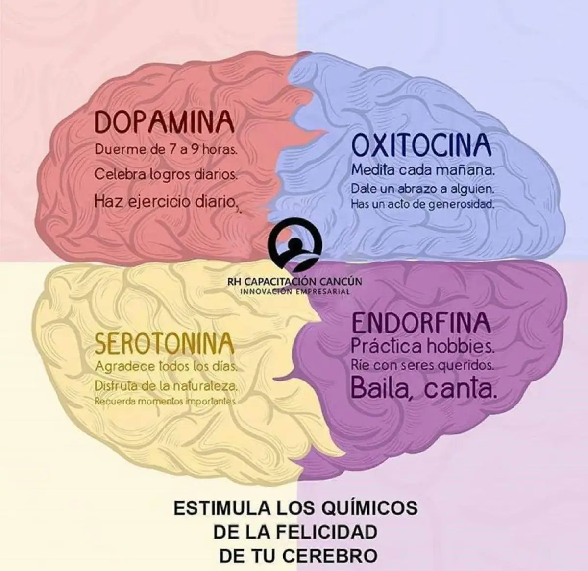 EL CUARTETO DE LA FELICIDAD.