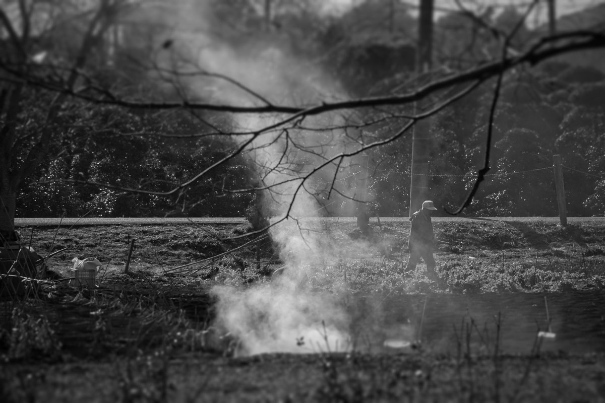 けむり #photography #日常の風景