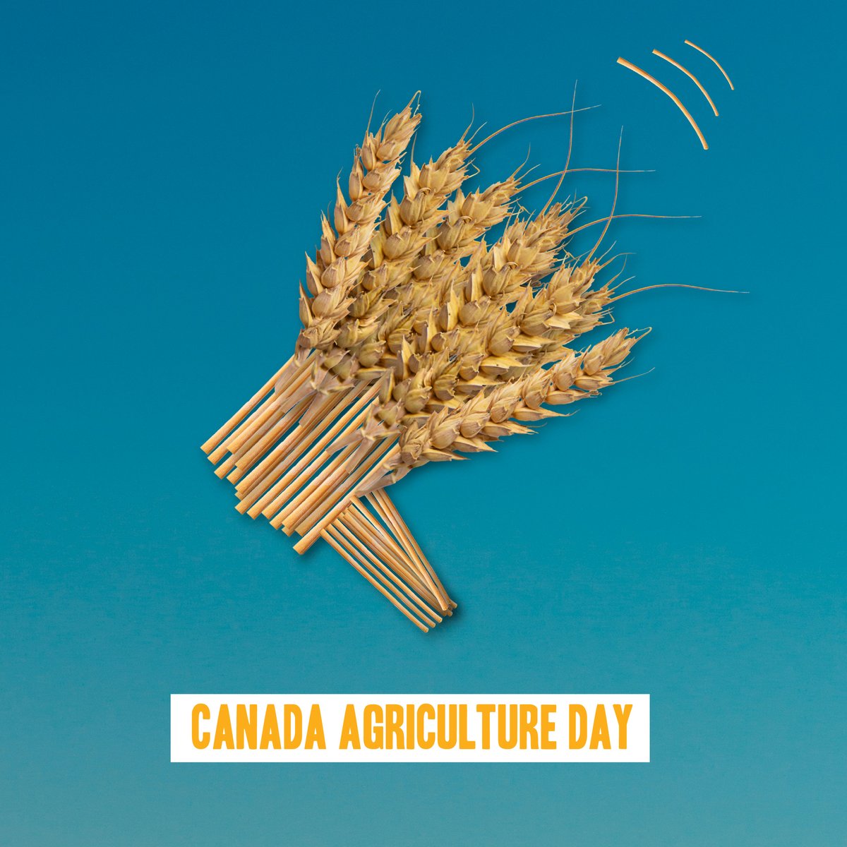 It's Canada's Agriculture Day, and we're thankful for the folks who grow our food, supplying the Regina Food Bank with the ability to feed our community! 🚜