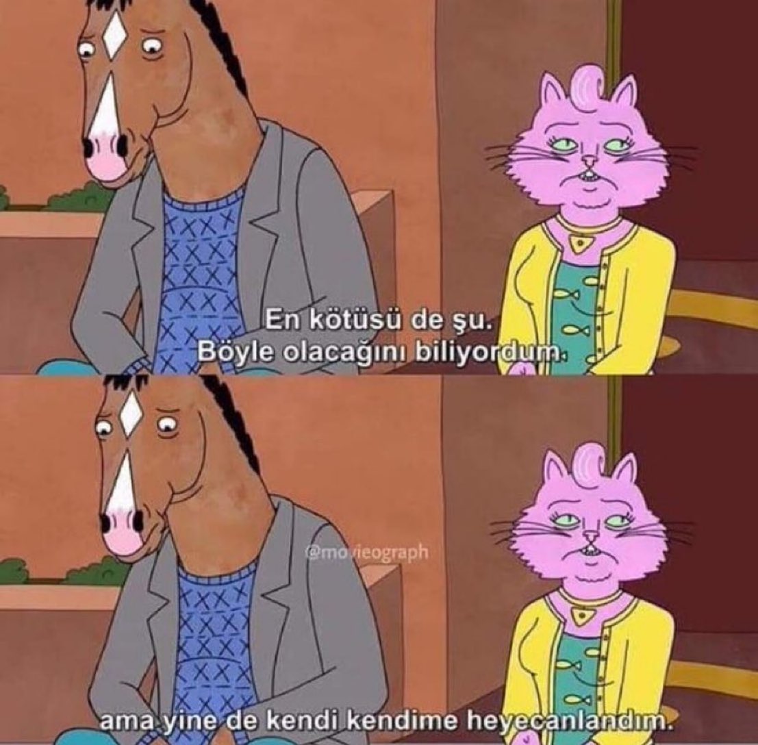 “En kötüsü de şu: Böyle olacağını biliyordum. Ama yine de kendi kendime heyecanlandım.” 

(BoJack Horseman)