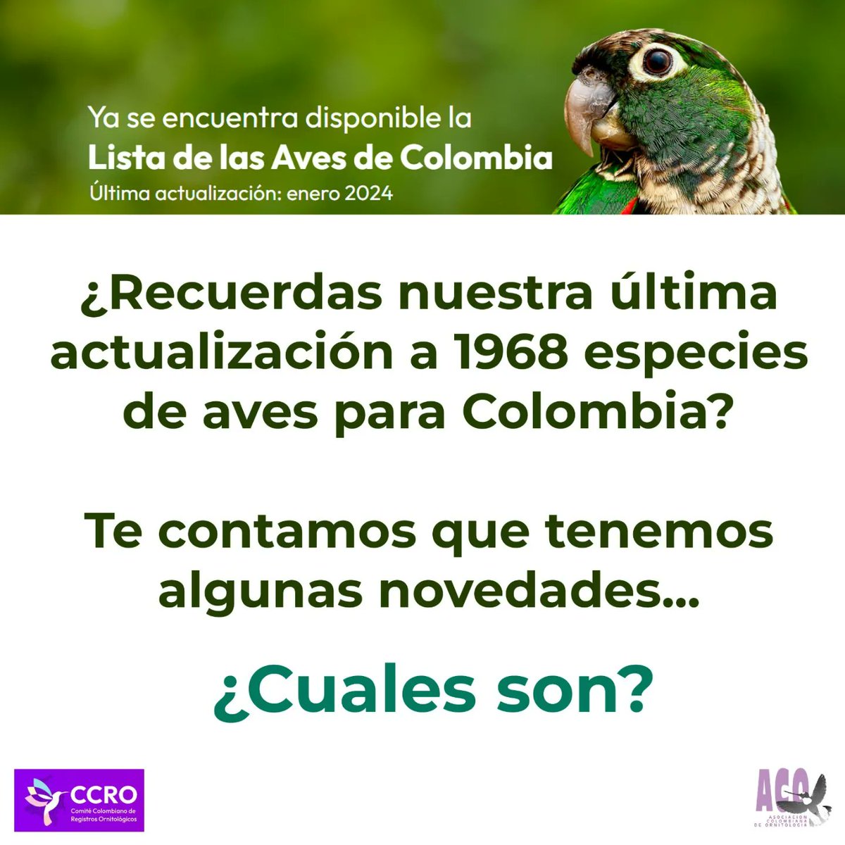 OrnitologiaCol's tweet photo. *¡NUEVA ACTUALIZACIÓN DEL LISTADO DE AVES DE COLOMBIA!* 🦉🦅🐦⬛
El Comité Colombiano de Registros Ornitológicos (CCRO) presenta la más reciente actualización a la Lista oficial de las aves de Colombia ENERO 2024.
https://t.co/jNK1qCugQD
#CCRO #birdsofcolombia #avesdecolombia https://t.co/LfghjlrrVe