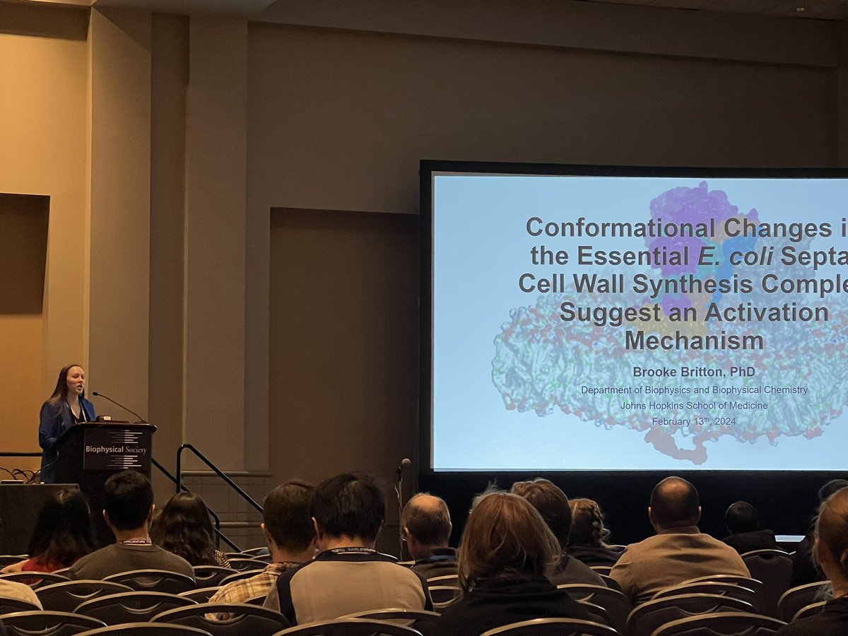 Jie Xiao (@jiexiao_lab) on Twitter photo #BPS2024 continues— Dr. Brooke Britton is giving a fantastic talk on the activation mechanism for cell wall synthesis in bacteria. Great work with <a href="/ZachHensel/">Zach Hensel</a> <a href="/rem_yo/">Remy Yovanno</a> and Albert Lau #BPS2024 continues— Dr. Brooke Britton is giving a fantastic talk on the activation mechanism for cell wall synthesis in bacteria. Great work with <a href="/ZachHensel/">Zach Hensel</a> <a href="/rem_yo/">Remy Yovanno</a> and Albert Lau