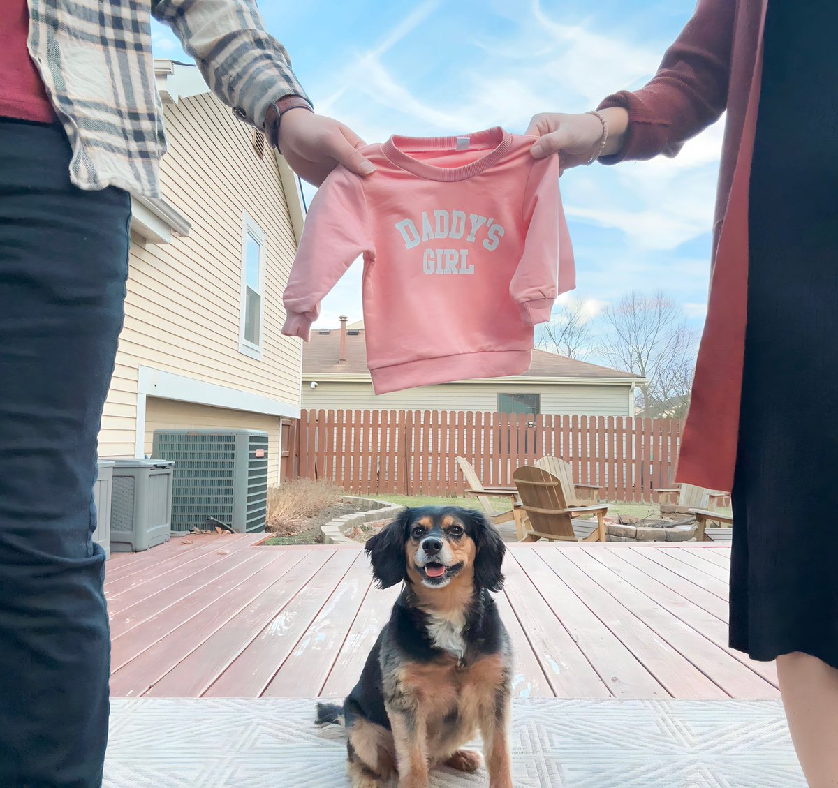 Anthony Allocco tweet media