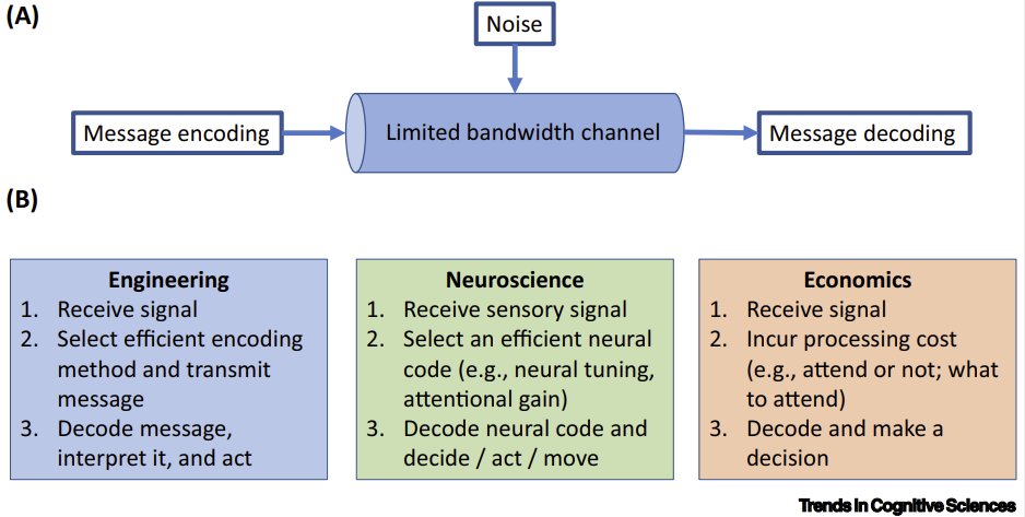 Rafael Polania (@rafapolania) on Twitter photo Take a look at our Review just published in <a href="/TrendsCognSci/">Trends in Cognitive Sciences</a>
Rationality, preferences, and emotions with biological constraints: it all starts from our senses
Free access to our article (online and PDF) for about 40 days!! don't miss it 👇
shorturl.at/pwCDM Take a look at our Review just published in <a href="/TrendsCognSci/">Trends in Cognitive Sciences</a>
Rationality, preferences, and emotions with biological constraints: it all starts from our senses
Free access to our article (online and PDF) for about 40 days!! don't miss it 👇
shorturl.at/pwCDM