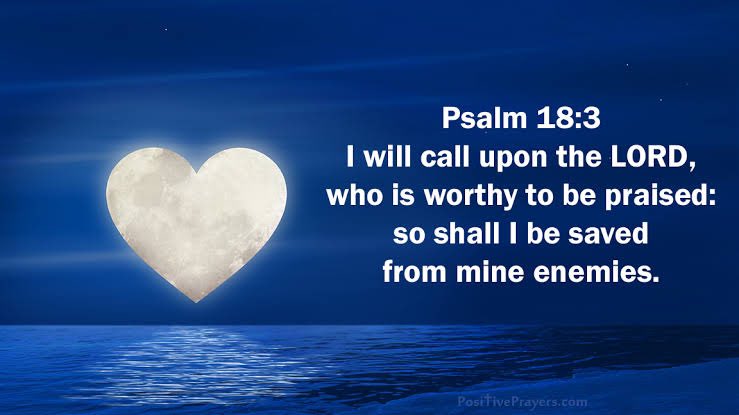 lion of Judah tweet media