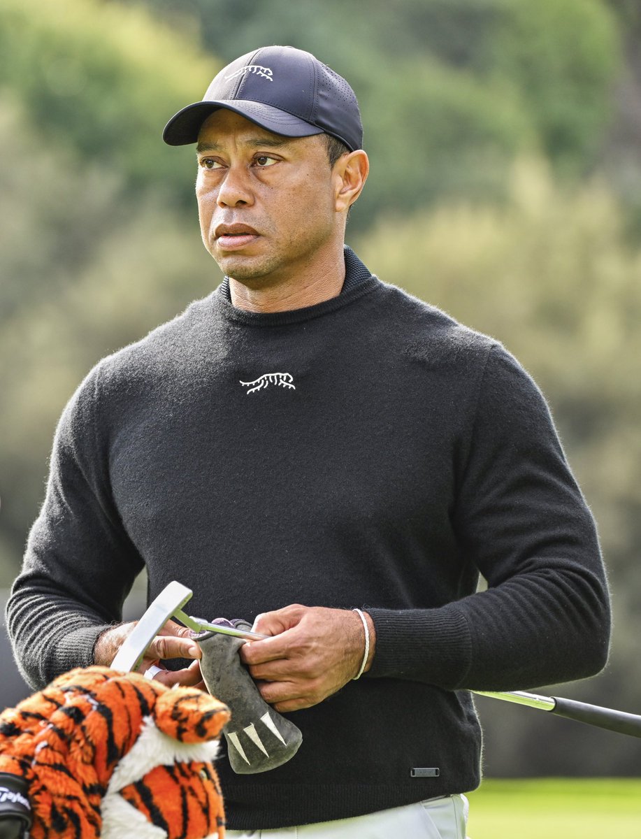 tiger woods hat tiger logo