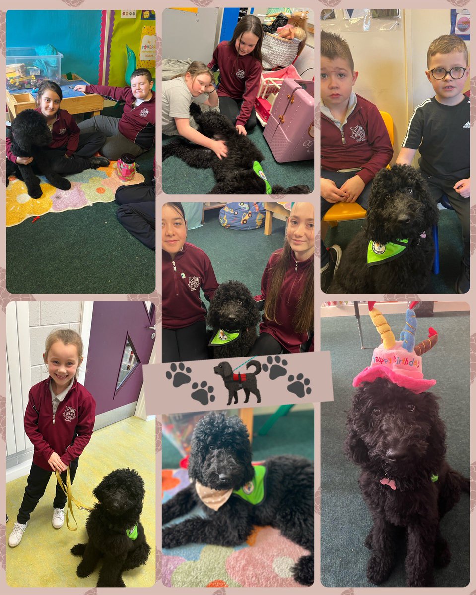 🐾🐕‍🦺🐾 Uni, our school dog, was the ultimate happiness ambassador for Wellness Week! From tail wags to snuggles, Uni's presence has lifted our spirits and reminded us to take moments to appreciate the simple joys in life!🌟 #WellnessWeek 🐾@mycaninecompani