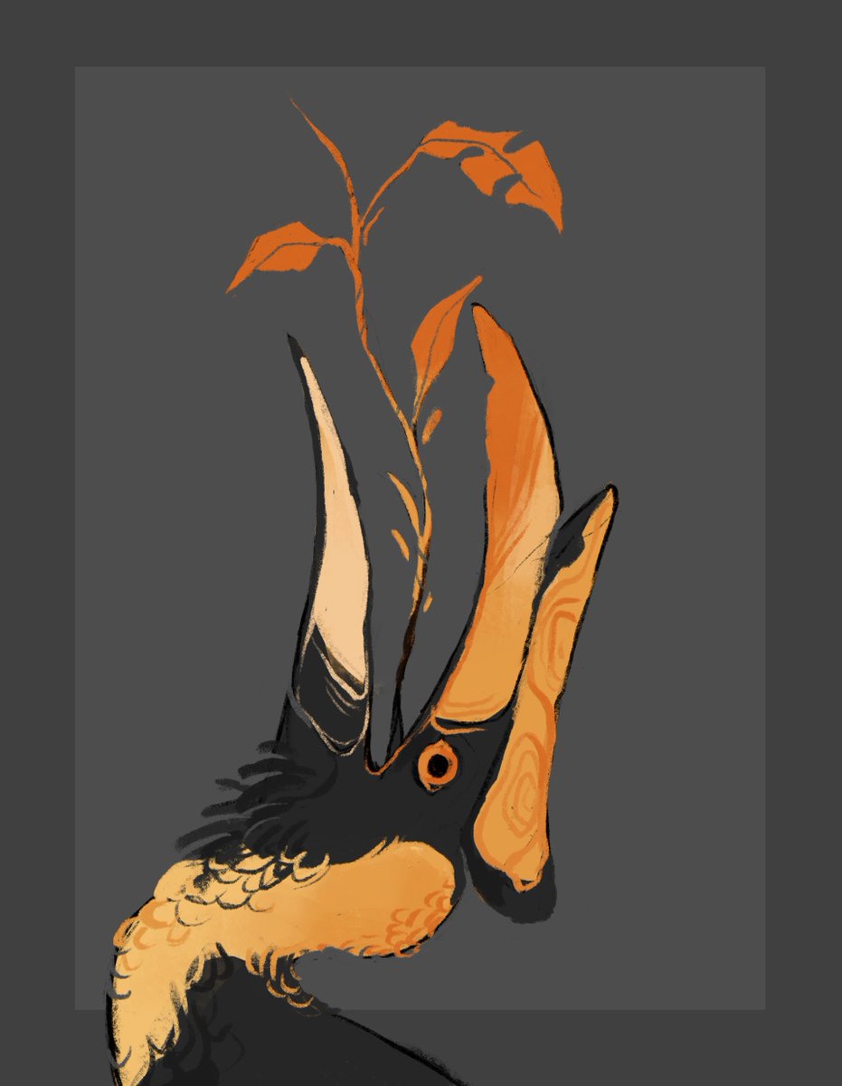 「Apparently it's Hornbill Day?? I cannot 」|Finchのイラスト