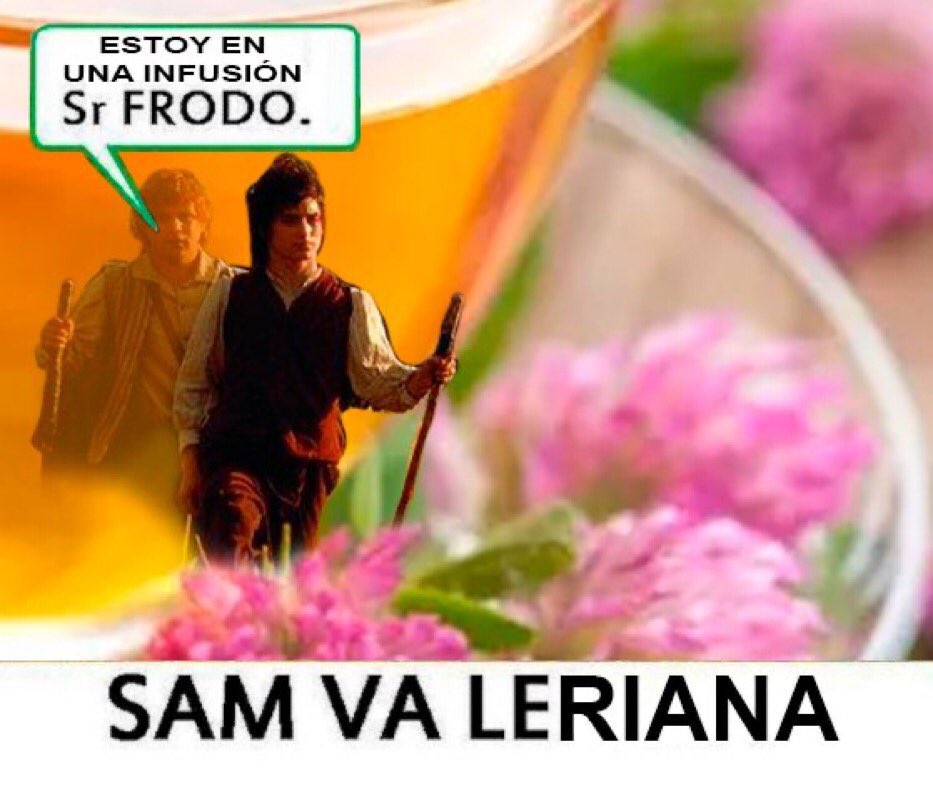 Lau ฅ^•ﻌ•^ฅ tweet media