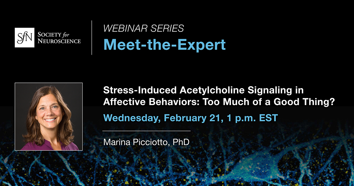 Society for Neuroscience (SfN) (@sfntweets) on Twitter photo Have you registered yet?
Don’t miss out on the upcoming #MeettheExpert webinar for a chance to connect with SfN President Marina Picciotto, PhD (<a href="/MarinaP63/">Marina Picciotto</a>), and understand the role of #acetylcholine in cognition & stress!
Register now! ▶️ bit.ly/3v5Eh24
#neurotwitter Have you registered yet?
Don’t miss out on the upcoming #MeettheExpert webinar for a chance to connect with SfN President Marina Picciotto, PhD (<a href="/MarinaP63/">Marina Picciotto</a>), and understand the role of #acetylcholine in cognition & stress!
Register now! ▶️ bit.ly/3v5Eh24
#neurotwitter